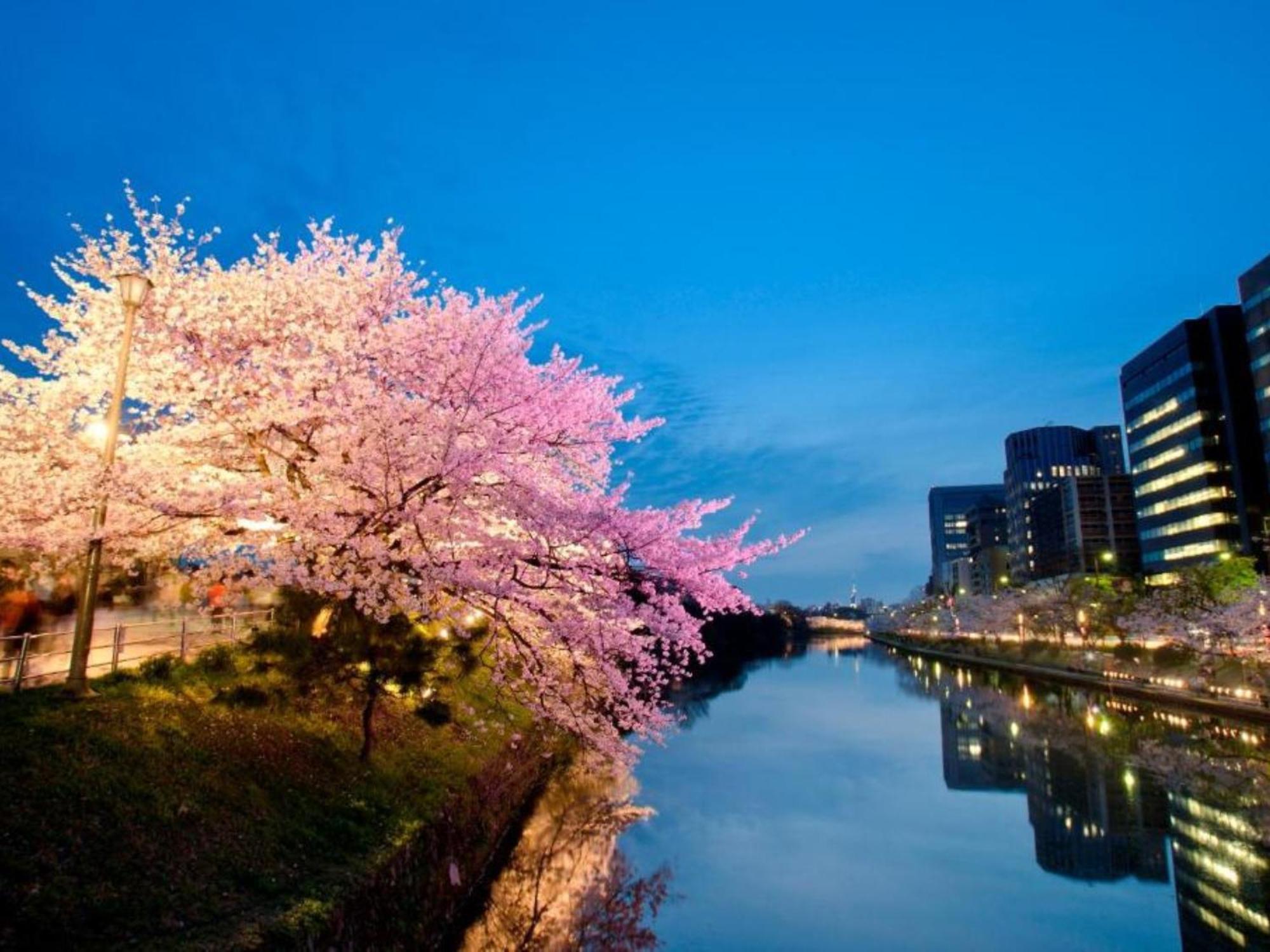 Hotel Resol Trinity Hakata Fukuoka  Zewnętrze zdjęcie